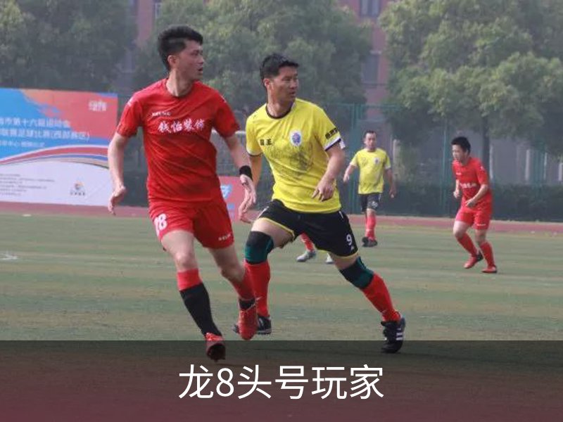 龙8头号玩家介绍