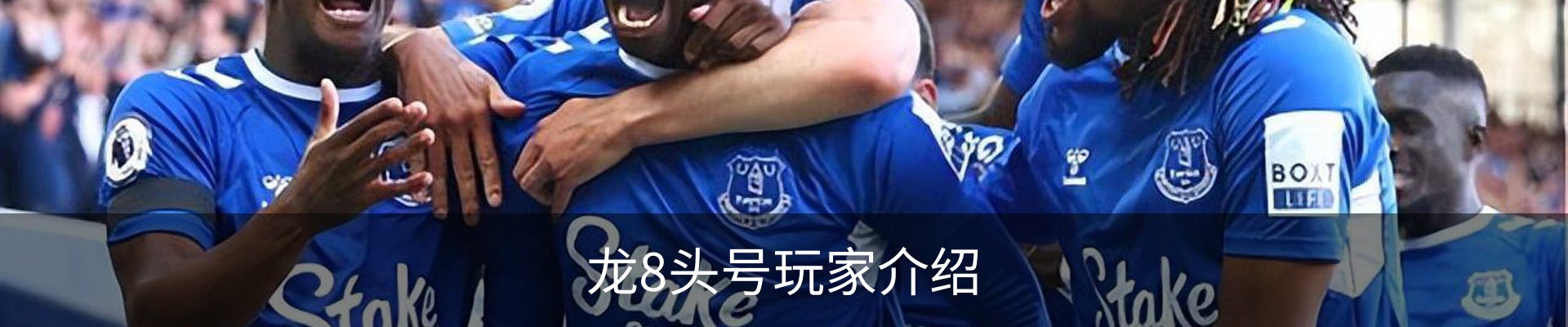 龙8头号玩家介绍